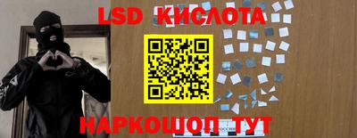 крисы Белореченск