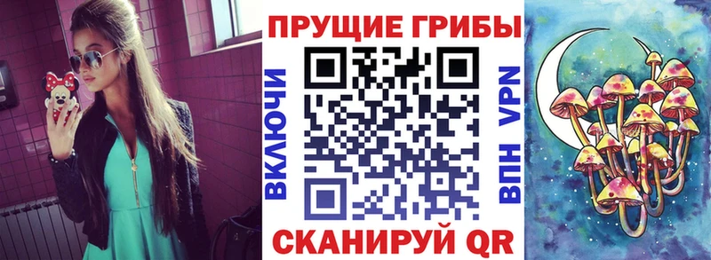 Галлюциногенные грибы мицелий  Ялуторовск 