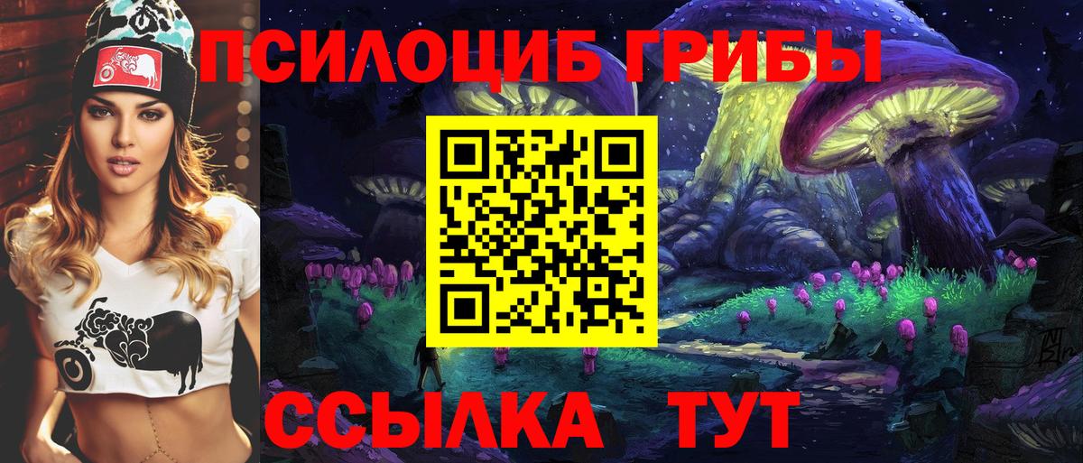Ялуторовск  Галлюциногенные грибы Psilocybine cubensis  Вход с VPN 